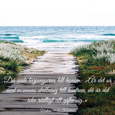 Picture 03 - Matteus 19:10 SV1917 - Då sade lärjungarna till honom: »Är det så - Bible Verse Picture