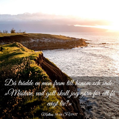 Picture 03 - Matteus 19:16 SV1917 - Då trädde en man fram till honom och sade: - Bible Verse Picture