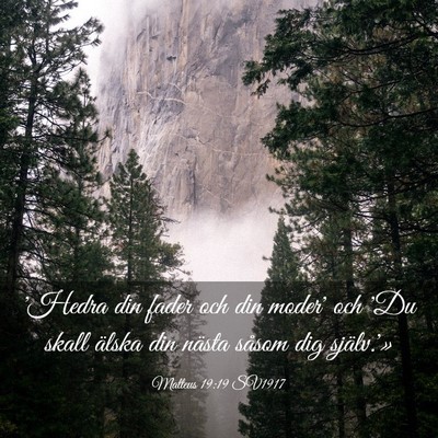 Picture 03 - Matteus 19:19 SV1917 - 'Hedra din fader och din moder' och 'Du skall - Bible Verse Picture