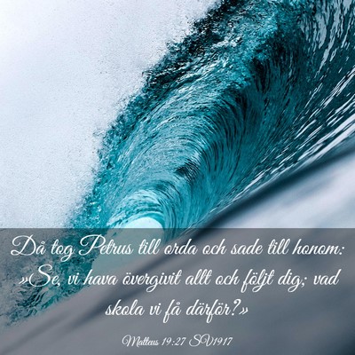 Picture 03 - Matteus 19:27 SV1917 - Då tog Petrus till orda och sade till honom: - Bible Verse Picture