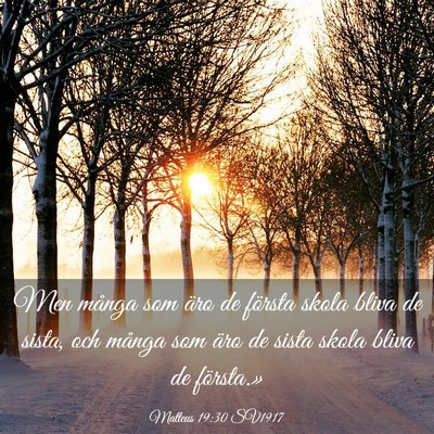 Picture 03 - Matteus 19:30 SV1917 - Men många som äro de första skola bliva de - Bible Verse Picture