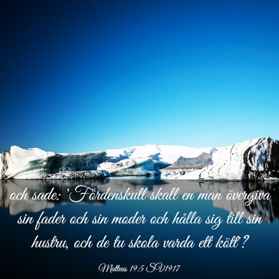 Picture 03 - Matteus 19:5 SV1917 - och sade: 'Fördenskull skall en man övergiva - Bible Verse Picture