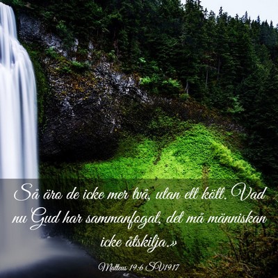 Picture 03 - Matteus 19:6 SV1917 - Så äro de icke mer två, utan ett kött. Vad nu - Bible Verse Picture