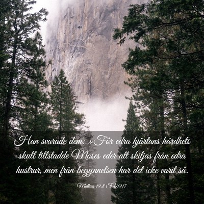 Picture 03 - Matteus 19:8 SV1917 - Han svarade dem: »För edra hjärtans hårdhets - Bible Verse Picture