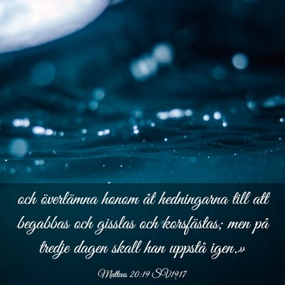 Picture 03 - Matteus 20:19 SV1917 - och överlämna honom åt hedningarna till att - Bible Verse Picture