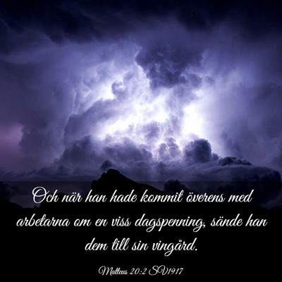 Picture 03 - Matteus 20:2 SV1917 - Och när han hade kommit överens med arbetarna - Bible Verse Picture