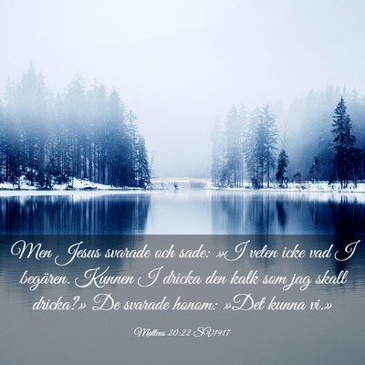 Picture 03 - Matteus 20:22 SV1917 - Men Jesus svarade och sade: »I veten icke vad I - Bible Verse Picture