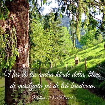 Picture 03 - Matteus 20:24 SV1917 - När de tio andra hörde detta, blevo de - Bible Verse Picture