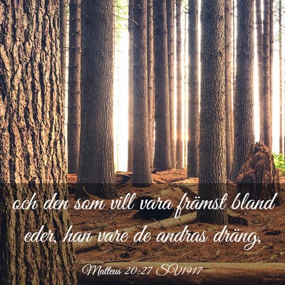 Picture 03 - Matteus 20:27 SV1917 - och den som vill vara främst bland eder, han - Bible Verse Picture