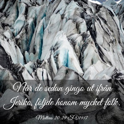 Picture 03 - Matteus 20:29 SV1917 - När de sedan gingo ut ifrån Jeriko, följde - Bible Verse Picture