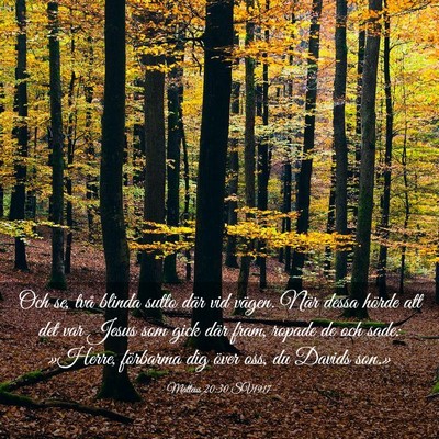 Picture 03 - Matteus 20:30 SV1917 - Och se, två blinda sutto där vid vägen. När - Bible Verse Picture