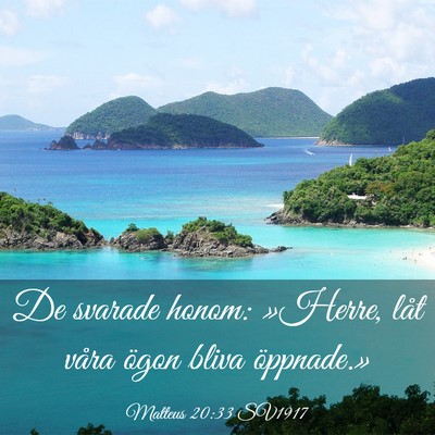 Picture 03 - Matteus 20:33 SV1917 - De svarade honom: »Herre, låt våra ögon bliva - Bible Verse Picture