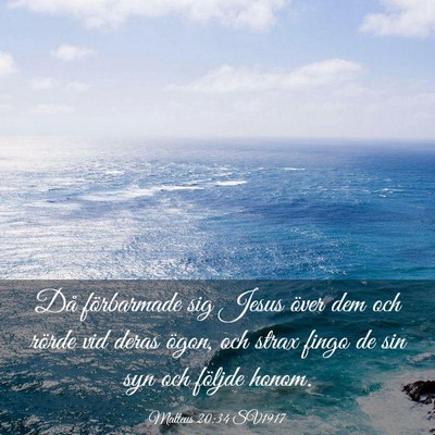 Picture 03 - Matteus 20:34 SV1917 - Då förbarmade sig Jesus över dem och rörde - Bible Verse Picture