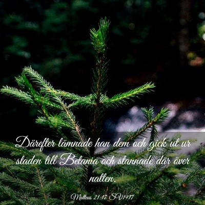 Picture 03 - Matteus 21:17 SV1917 - Därefter lämnade han dem och gick ut ur staden - Bible Verse Picture