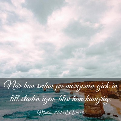 Picture 03 - Matteus 21:18 SV1917 - När han sedan på morgonen gick in till staden - Bible Verse Picture