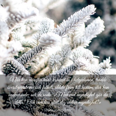Picture 03 - Matteus 21:23 SV1917 - När han därefter hade kommit in i helgedomen, - Bible Verse Picture