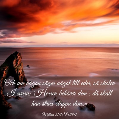 Picture 03 - Matteus 21:3 SV1917 - Och om någon säger något till eder, så skolen - Bible Verse Picture