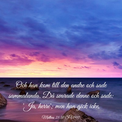 Picture 03 - Matteus 21:30 SV1917 - Och han kom till den andre och sade sammalunda. - Bible Verse Picture