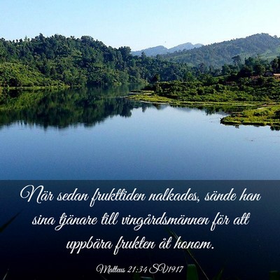 Picture 03 - Matteus 21:34 SV1917 - När sedan frukttiden nalkades, sände han sina - Bible Verse Picture