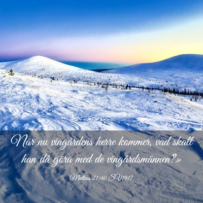 Picture 03 - Matteus 21:40 SV1917 - När nu vingårdens herre kommer, vad skall han - Bible Verse Picture