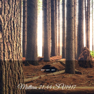 Picture 03 - Matteus 21:44 SV1917 -  - Bible Verse Picture