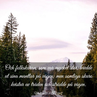 Picture 03 - Matteus 21:8 SV1917 - Och folkskaran, som var mycket stor, bredde ut - Bible Verse Picture