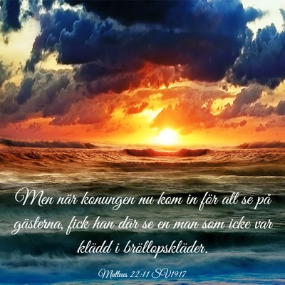 Picture 03 - Matteus 22:11 SV1917 - Men när konungen nu kom in för att se på - Bible Verse Picture