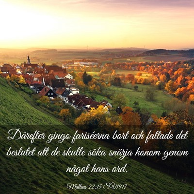 Picture 03 - Matteus 22:15 SV1917 - Därefter gingo fariséerna bort och fattade det - Bible Verse Picture