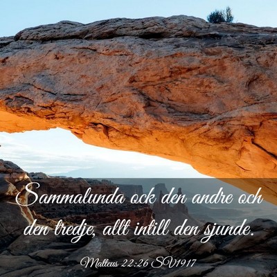 Picture 03 - Matteus 22:26 SV1917 - Sammalunda ock den andre och den tredje, allt - Bible Verse Picture