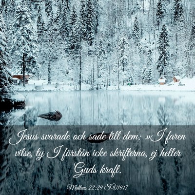 Picture 03 - Matteus 22:29 SV1917 - Jesus svarade och sade till dem: »I faren vilse, - Bible Verse Picture
