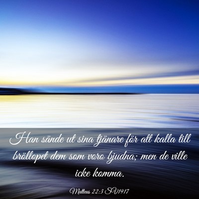 Picture 03 - Matteus 22:3 SV1917 - Han sände ut sina tjänare för att kalla till - Bible Verse Picture