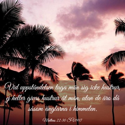 Picture 03 - Matteus 22:30 SV1917 - Vid uppståndelsen taga män sig icke hustrur, ej - Bible Verse Picture