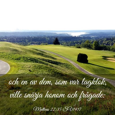 Picture 03 - Matteus 22:35 SV1917 - och en av dem, som var lagklok, ville snärja - Bible Verse Picture