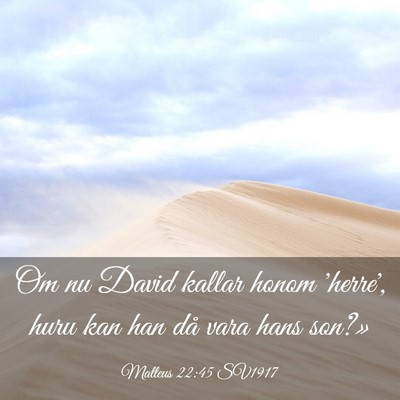 Picture 03 - Matteus 22:45 SV1917 - Om nu David kallar honom 'herre', huru kan han - Bible Verse Picture