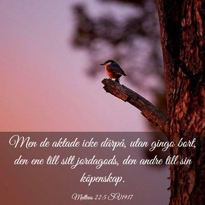 Picture 03 - Matteus 22:5 SV1917 - Men de aktade icke därpå, utan gingo bort, den - Bible Verse Picture