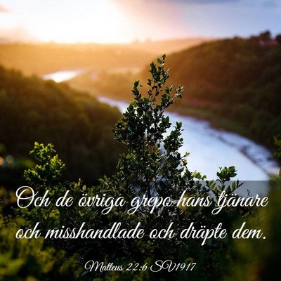Picture 03 - Matteus 22:6 SV1917 - Och de övriga grepo hans tjänare och - Bible Verse Picture