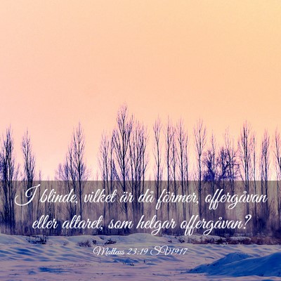 Picture 03 - Matteus 23:19 SV1917 - I blinde, vilket är då förmer, offergåvan - Bible Verse Picture