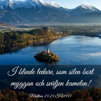 Picture 03 - Matteus 23:24 SV1917 - I blinde ledare, som silen bort myggan och - Bible Verse Picture