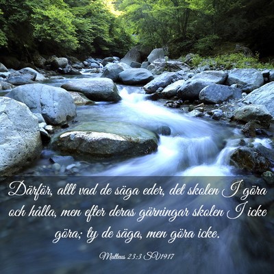Picture 03 - Matteus 23:3 SV1917 - Därför, allt vad de säga eder, det skolen I - Bible Verse Picture
