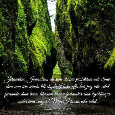 Picture 03 - Matteus 23:37 SV1917 - Jerusalem, Jerusalem, du som dräper profeterna - Bible Verse Picture