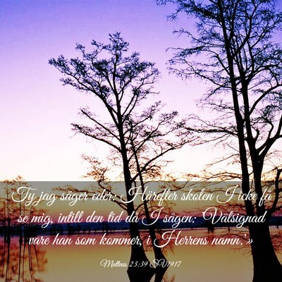 Picture 03 - Matteus 23:39 SV1917 - Ty jag säger eder: Härefter skolen I icke få - Bible Verse Picture