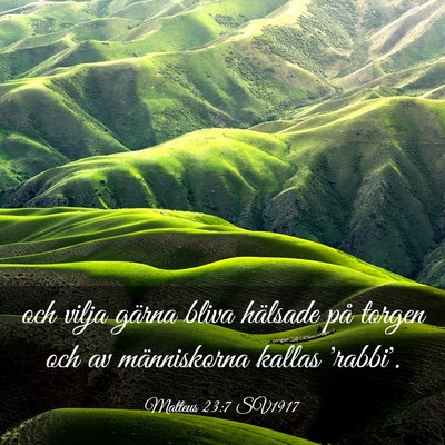 Picture 03 - Matteus 23:7 SV1917 - och vilja gärna bliva hälsade på torgen och av - Bible Verse Picture