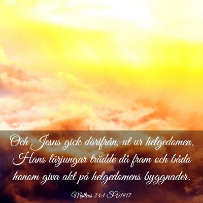 Picture 03 - Matteus 24:1 SV1917 - Och Jesus gick därifrån, ut ur helgedomen. Hans - Bible Verse Picture