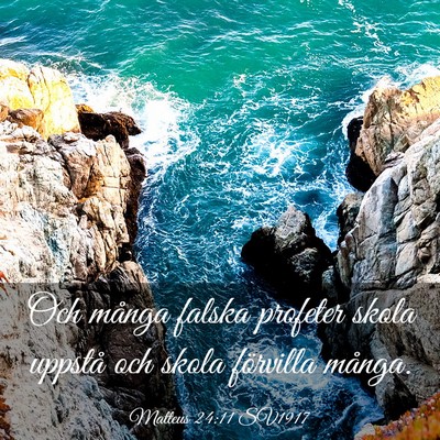 Picture 03 - Matteus 24:11 SV1917 - Och många falska profeter skola uppstå och - Bible Verse Picture