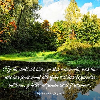 Picture 03 - Matteus 24:21 SV1917 - Ty då skall det bliva 'en stor vedermöda, vars - Bible Verse Picture