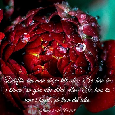Picture 03 - Matteus 24:26 SV1917 - Därför, om man säger till eder: 'Se, han är i - Bible Verse Picture