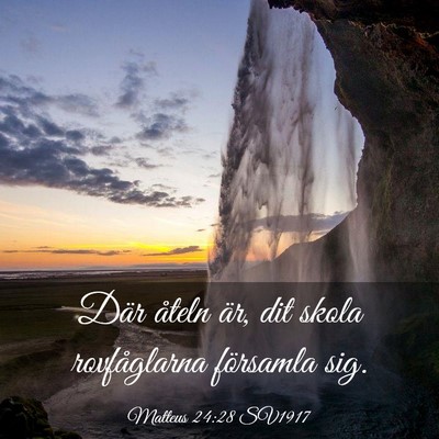 Picture 03 - Matteus 24:28 SV1917 - Där åteln är, dit skola rovfåglarna församla - Bible Verse Picture