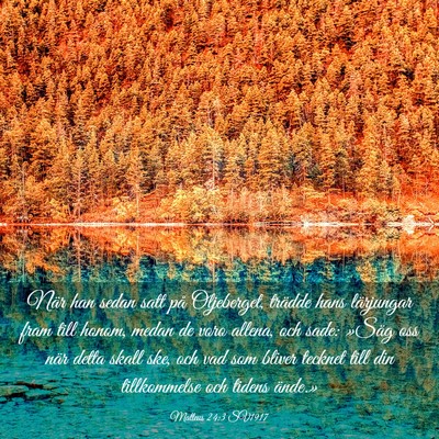 Picture 03 - Matteus 24:3 SV1917 - När han sedan satt på Oljeberget, trädde hans - Bible Verse Picture