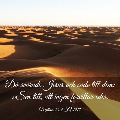 Picture 03 - Matteus 24:4 SV1917 - Då svarade Jesus och sade till dem: »Sen till, - Bible Verse Picture
