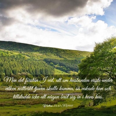 Picture 03 - Matteus 24:43 SV1917 - Men det förstån I väl, att om husbonden visste - Bible Verse Picture